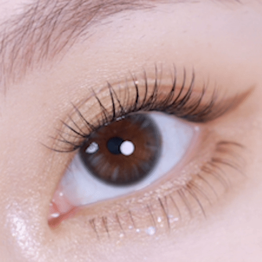 [日拋] moody Lenses Hush Hush 1 Day Butterfly (Platinum Grey) 日抛隱形眼鏡｜每盒10片