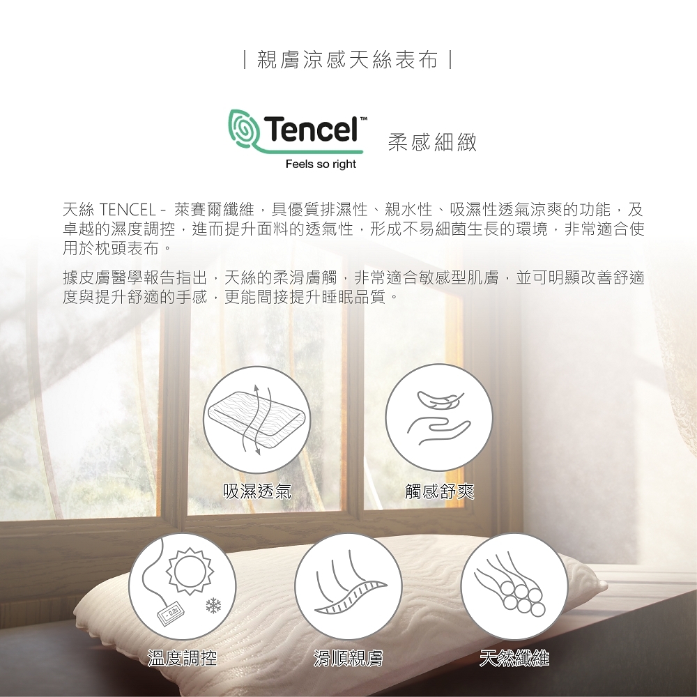 防螨抗菌涼感天絲記憶枕10cm二入組