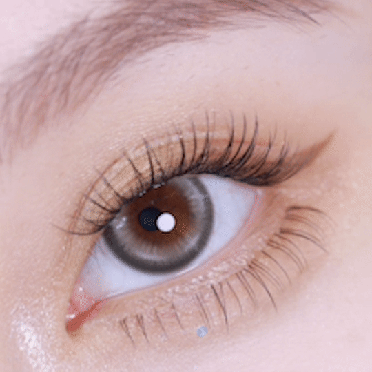 [日拋] moody Lenses Hush Hush 1 Day Breeze (Smokey Grey) 日抛隱形眼鏡｜每盒10片