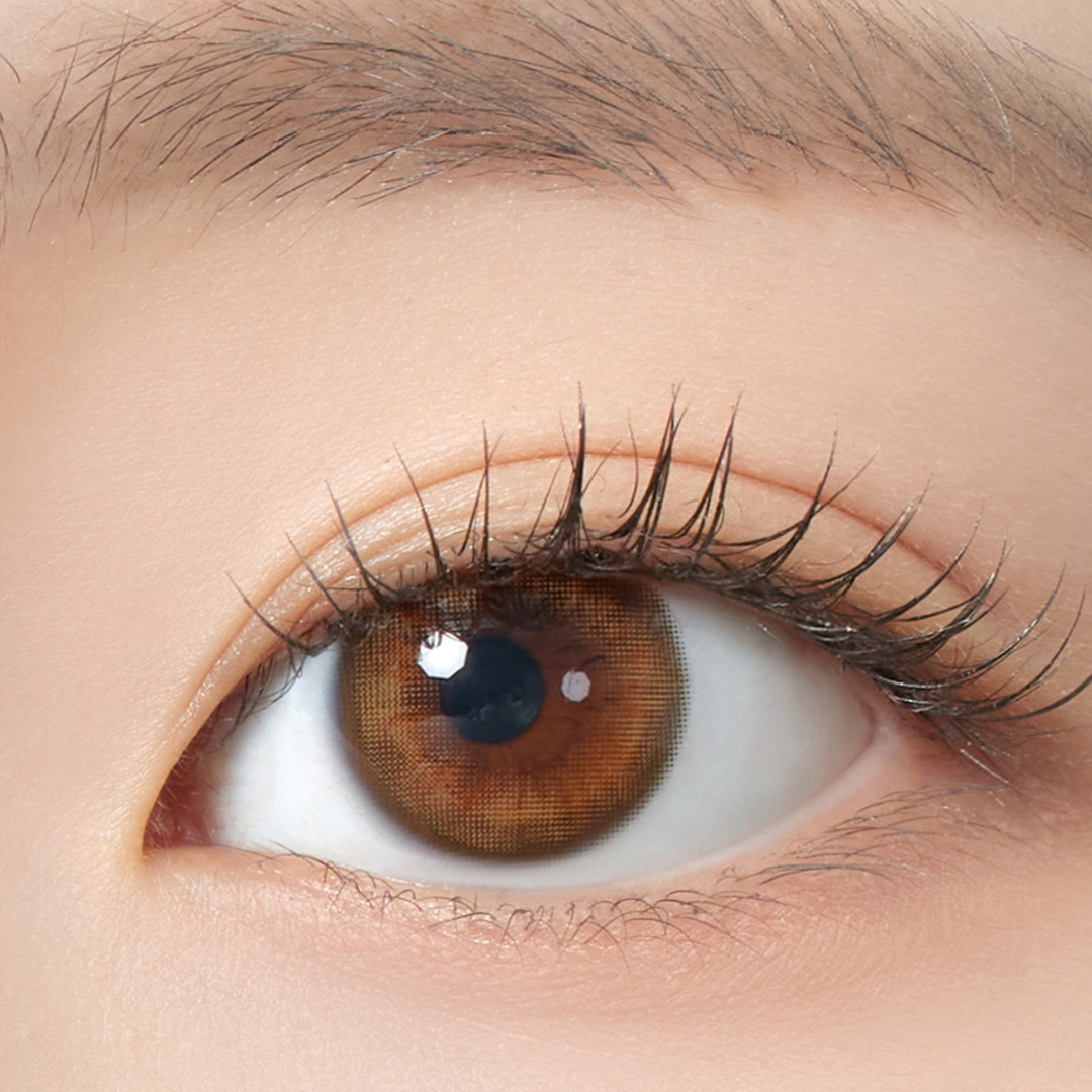 [日拋]  Hapa Kristin 1 Day Bitter Sweet Kristin Amber Brown 棕色每日拋棄彩妝隱形眼鏡｜每盒10片