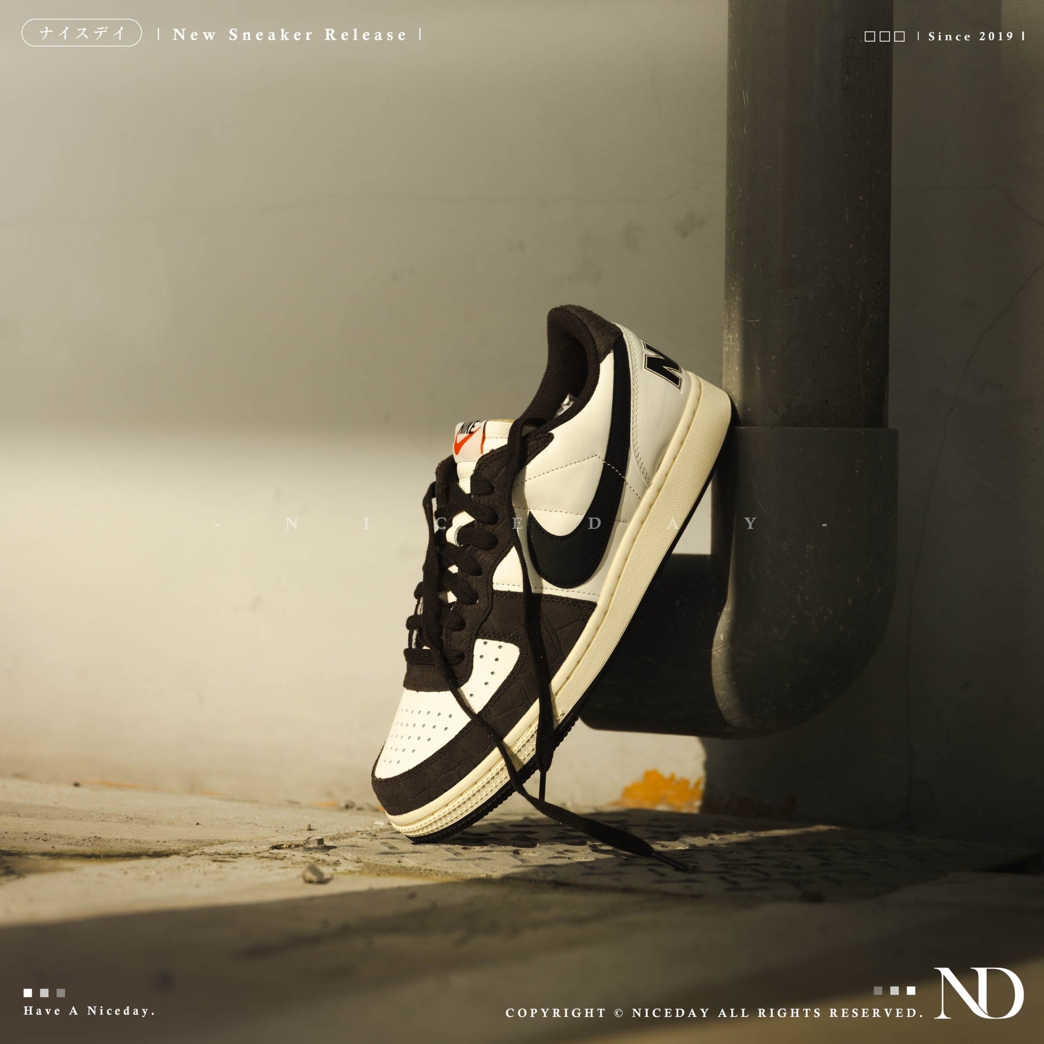 NICEDAY 代購 Nike Terminator Low Velvet Brown 摩卡 黑白 男女尺寸 FN7815-200