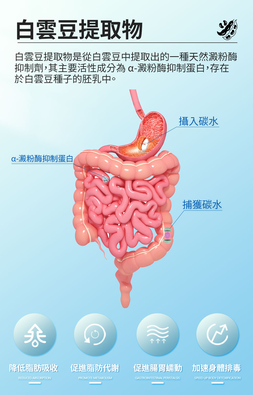 【 Spruce Nutrition 】美國雲杉 甘草酸 四重配方｜FLAMENOID｜30 粒裝（美國原裝行貨）
