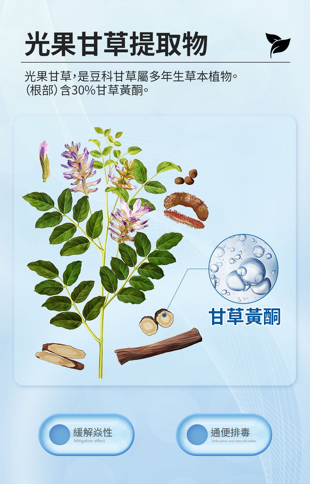 【 Spruce Nutrition 】美國雲杉 甘草酸 四重配方｜FLAMENOID｜30 粒裝（美國原裝行貨）