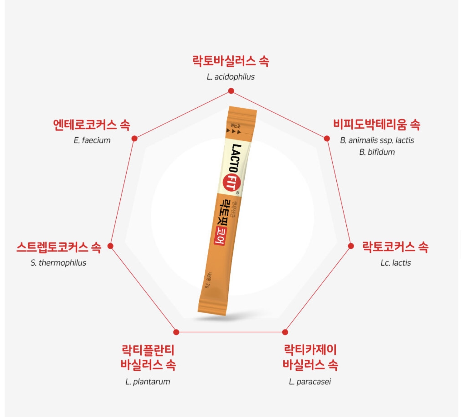 《現貨》LACTO-FIT Probiotics 黃金乳酸菌橙色増強版 （腸胃健康）60pcs