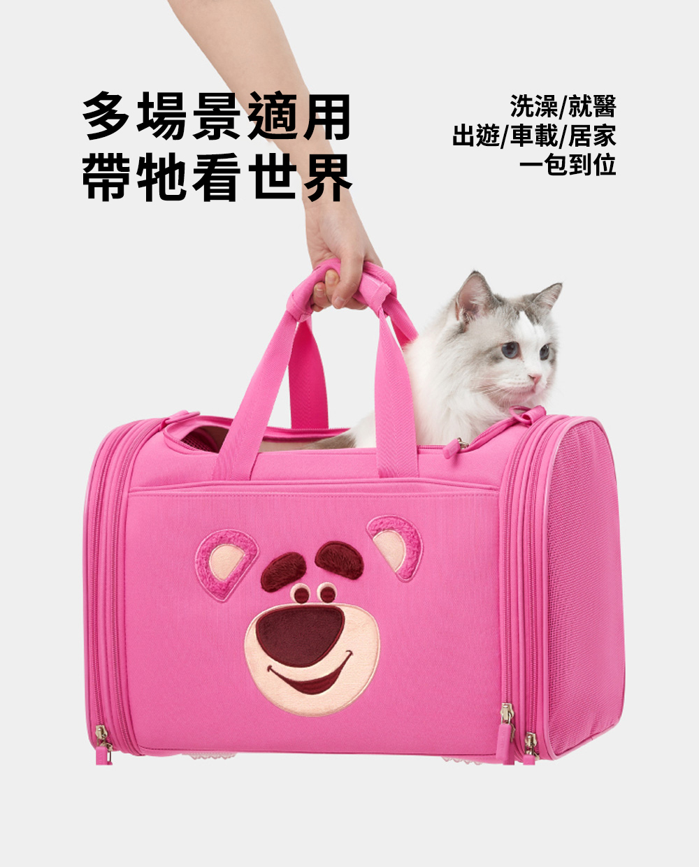 Toy Story 勞蘇寵物外出袋