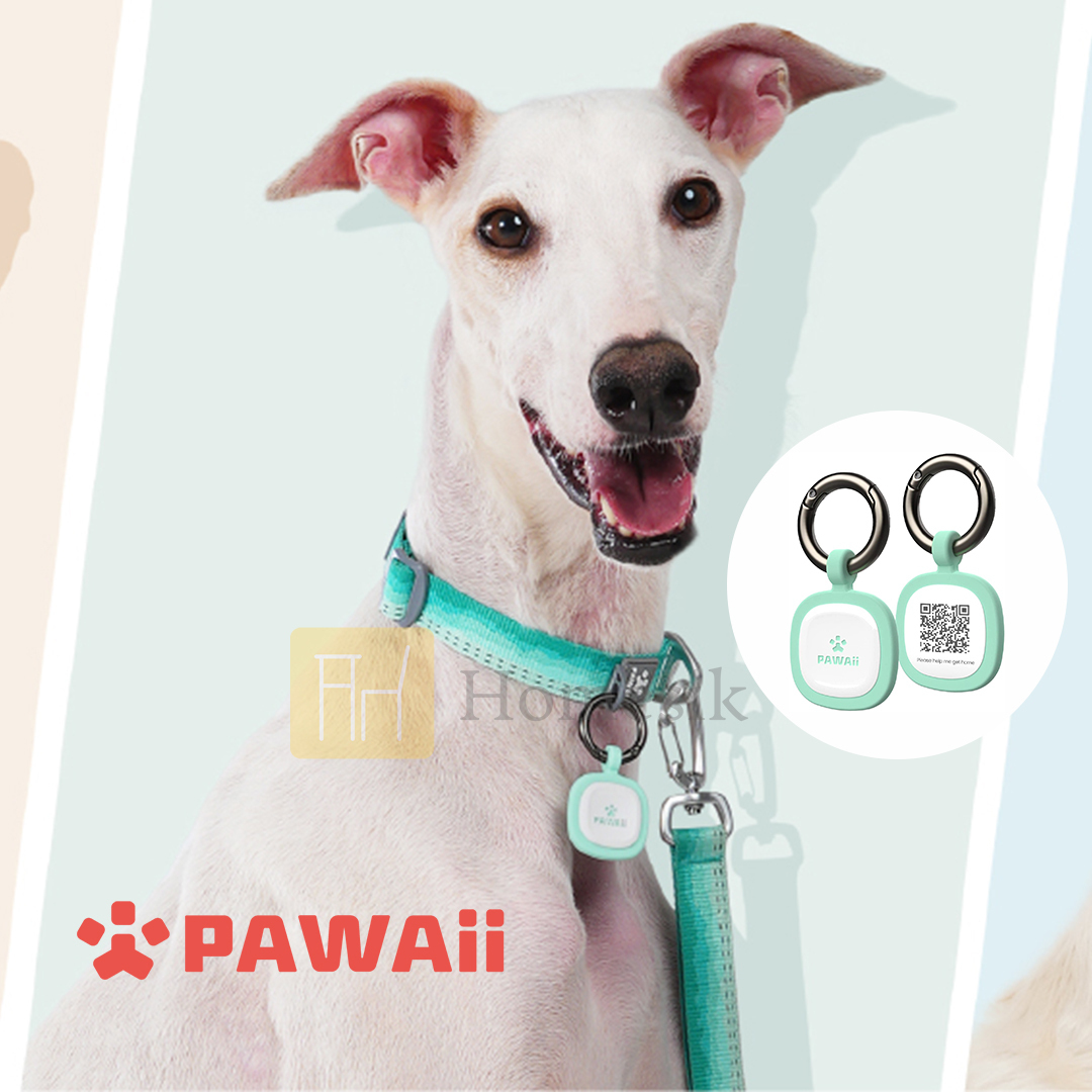 寵物ID Tag 防走失吊牌 (綠色) 電子名牌