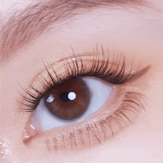 [日拋] moody Lenses Teenage Daydream 1 Day Pinewood Cabin (Pinewood Brown) 日抛隱形眼鏡｜每盒10片