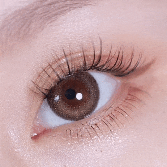 [日拋] moody Lenses SMFK*moody 1 Day First Love (Stellar Brown) 日抛隱形眼鏡｜每盒10片