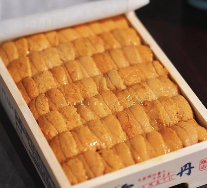 特選A級海膽 & 拖羅刺身組合