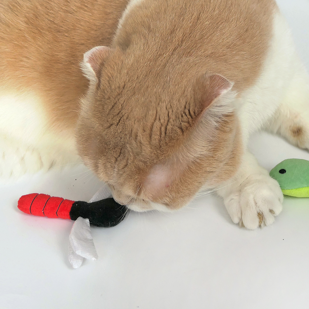 蜻蜓-100%貓薄荷填充貓玩具