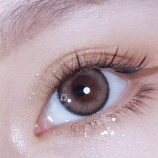 [日拋] moody Lenses SMFK*moody 1 Day Fairy (Nude Brown)日抛隱形眼鏡｜每盒10片