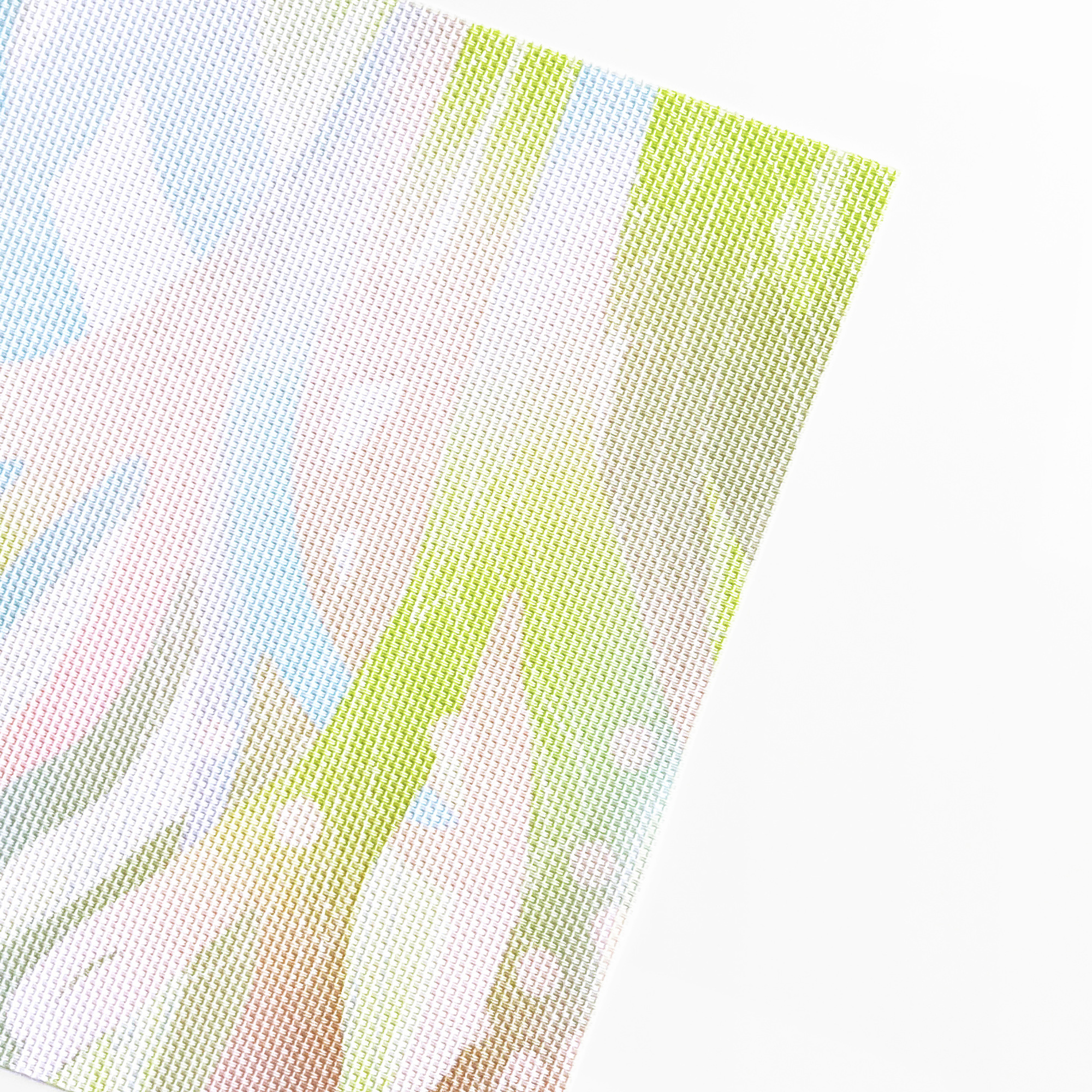 台灣 只有蕨｜蕨類風景餐桌墊 3.0