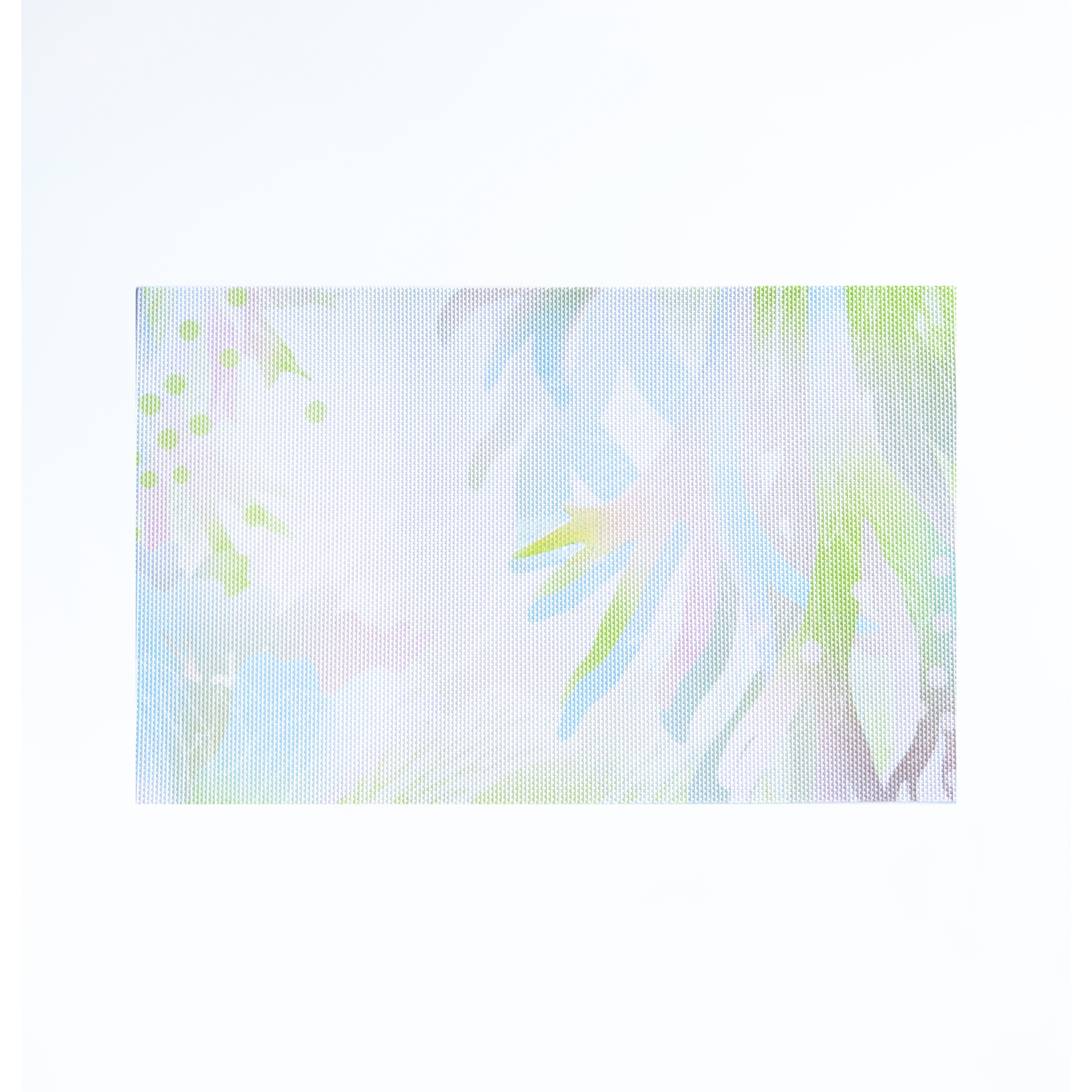 台灣 只有蕨｜蕨類風景餐桌墊 3.0