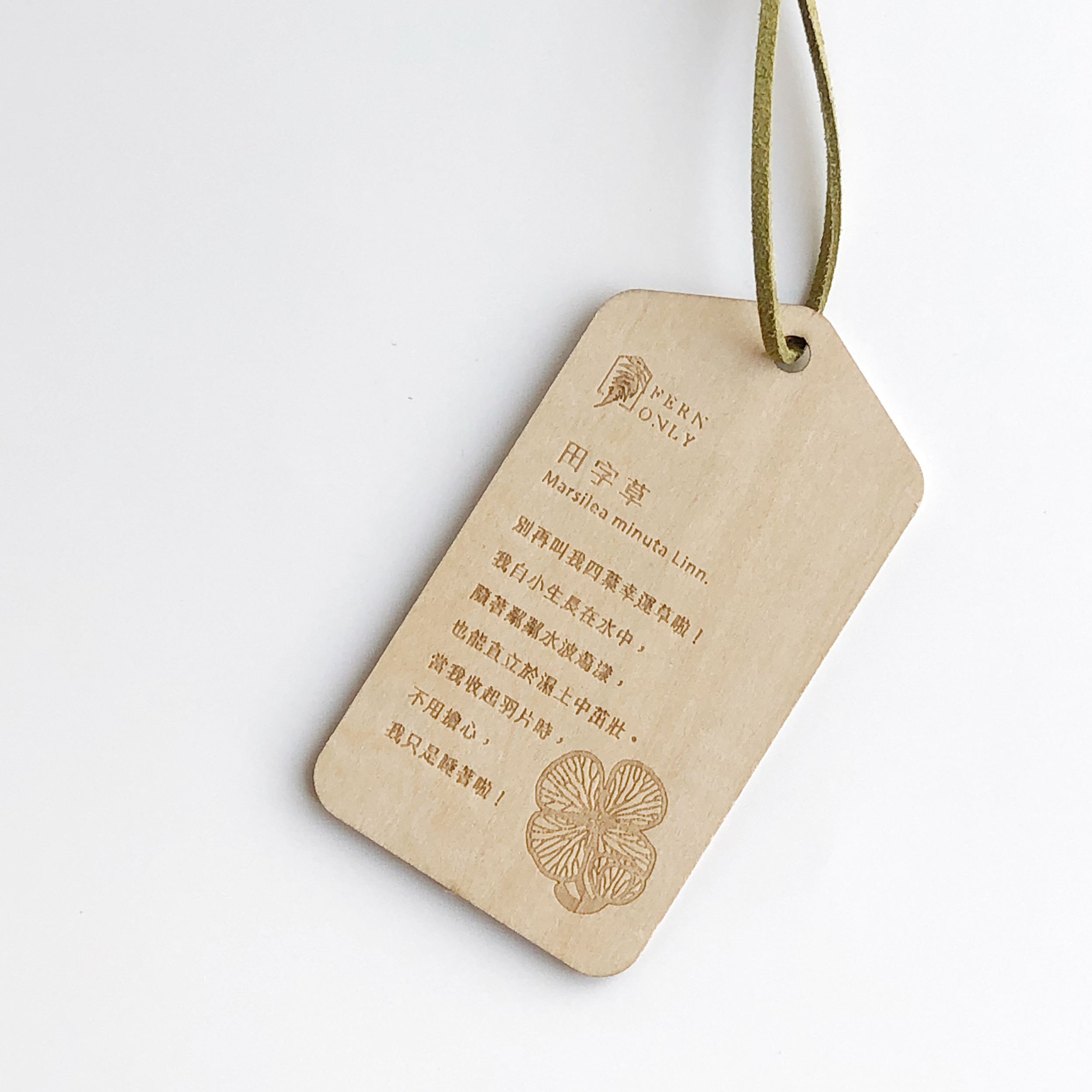 台灣 只有蕨｜蕨品森林擴香組