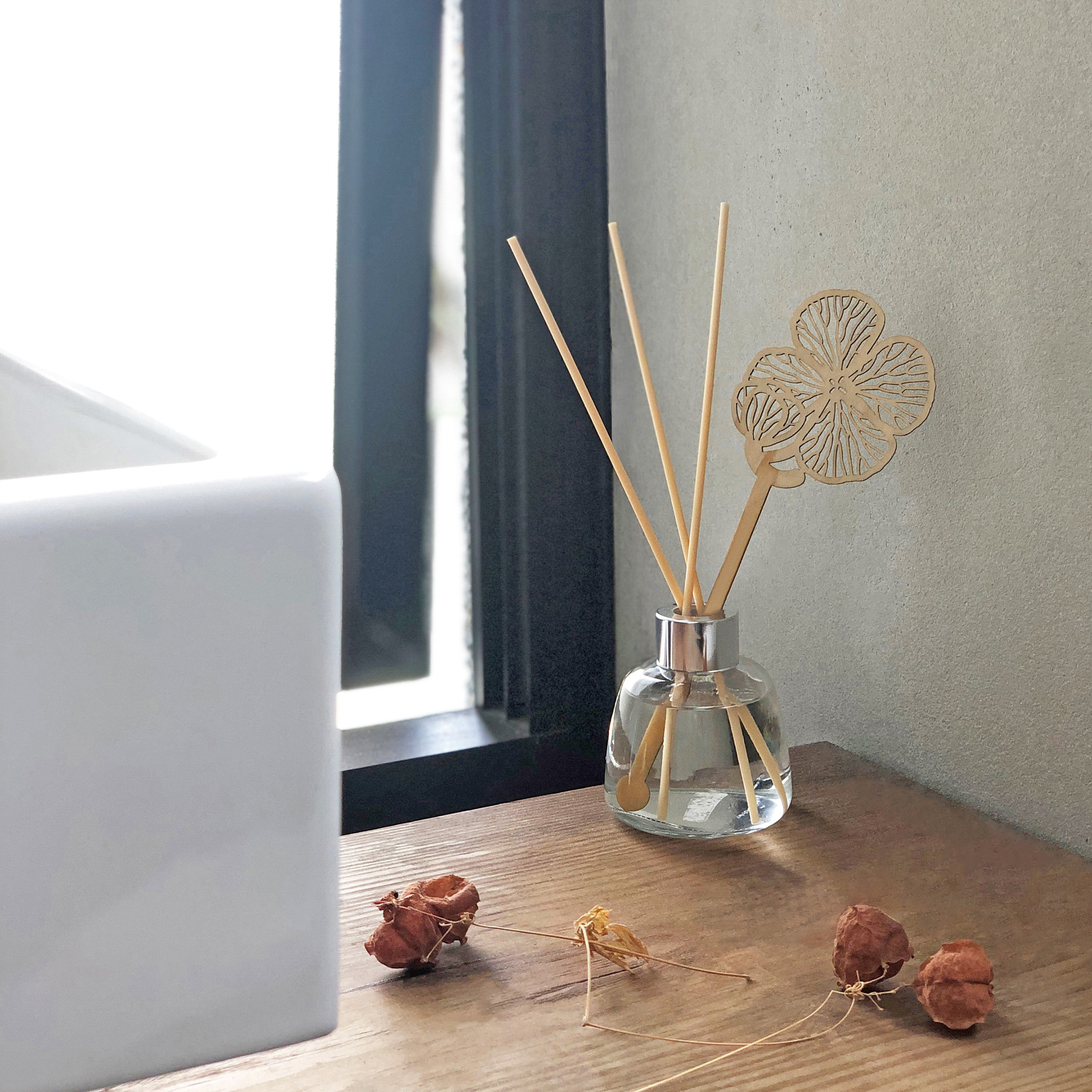 台灣 只有蕨｜蕨品森林擴香組