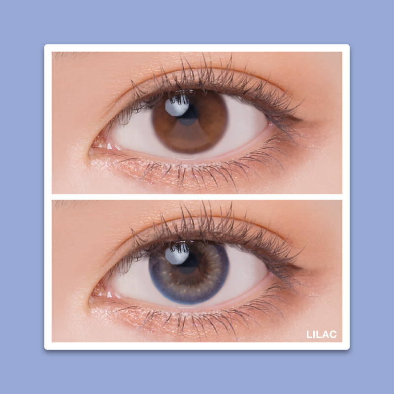 [日拋][防UV] Quinlivan Light Series 1day - Lilac 丁香紫  (10片裝)