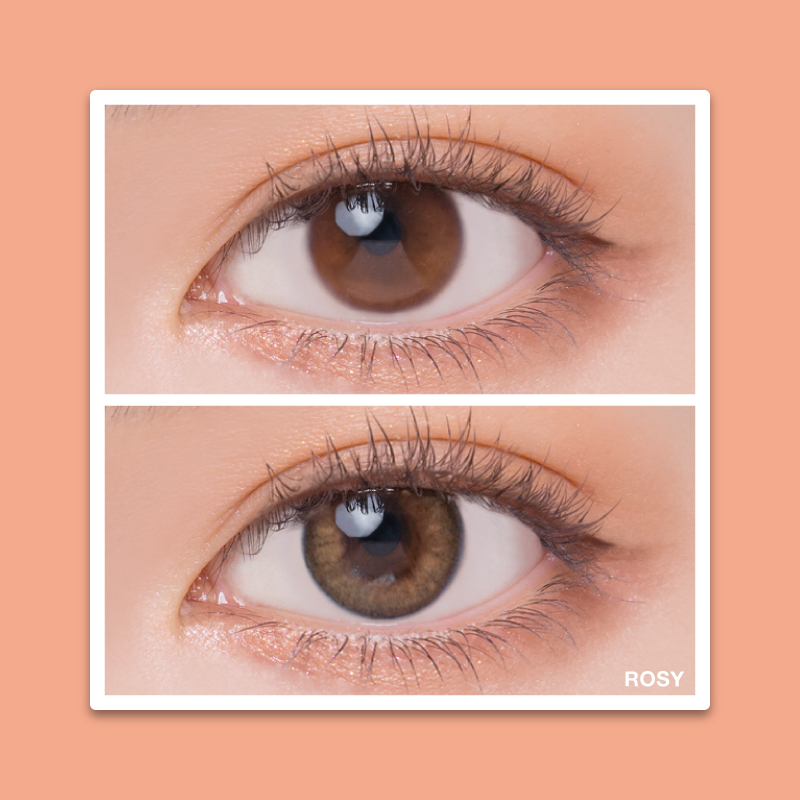 [日拋][防UV] Quinlivan Light Series 1day - ROSY 玫瑰棕  (10片裝)