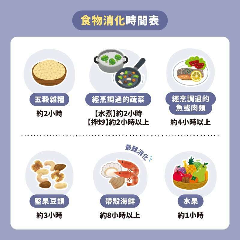 食物消化時間表 與料理方式大有關係 甲殼類 蔬菜水果堅果 各有不同