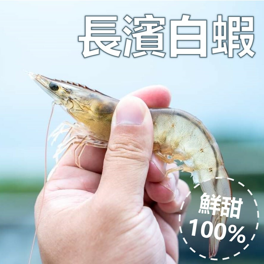 長濱活凍Q彈無毒白蝦【解凍不縮水!】產銷履歷認證! 台東太平洋海水養殖