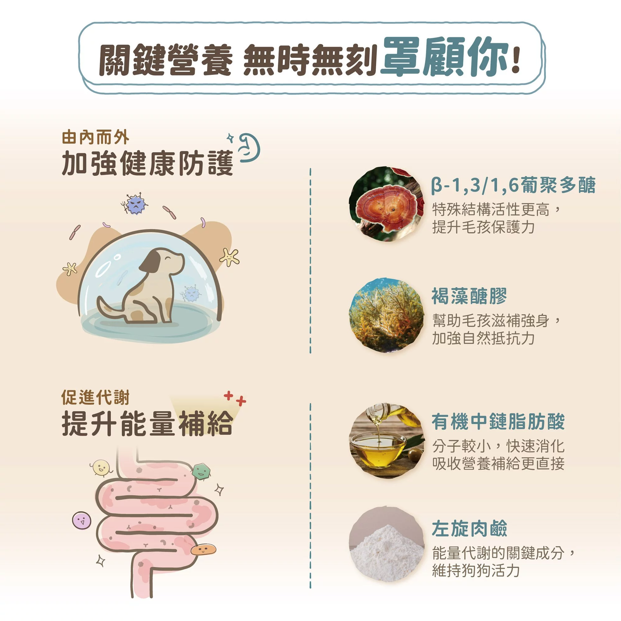 Blue Bay IMMUNE CARE TURKEY , DUCK & RED QUINOA 6.8kg