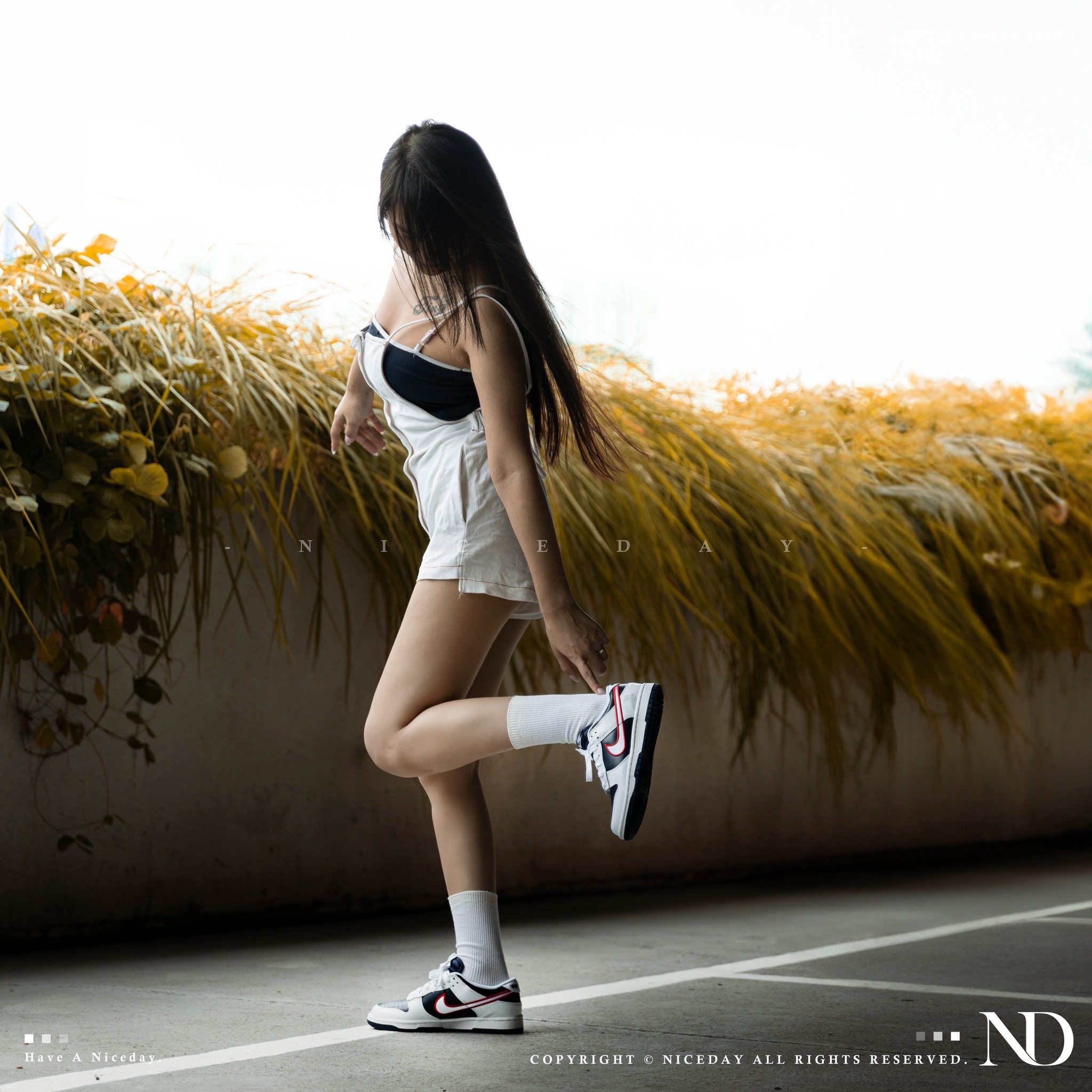 Niceday 現貨 Nike Dunk Low Four Peat 彗星四連冠 海軍藍 白 紅 彗星隊 四連霸 女 DZ2780-100