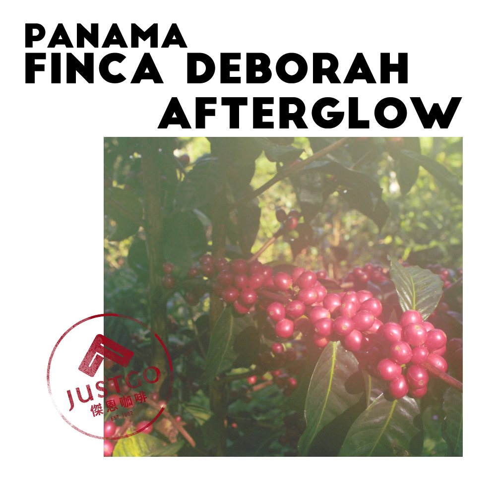 [生豆] 巴拿馬 Finca Deborah Afterglow（日暮）GESHA 日曬