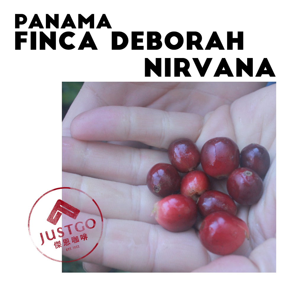 [生豆] 巴拿馬 Finca Deborah Nirvana（涅槃）GESHA 氮氣厭氧日曬