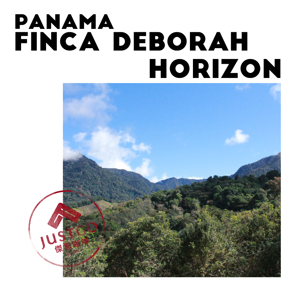 [生豆] 巴拿馬 Finca Deborah Horizon（地平）GESHA 酵素日曬+水洗