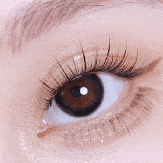 [日拋] moody Lenses moody collection 1 Day Black Sugar Pearl (Pearl Black)  日抛隱形眼鏡｜每盒10片