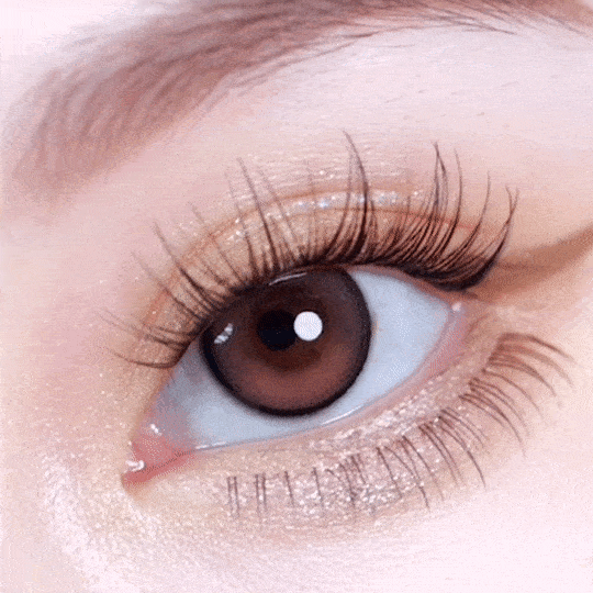 [日拋] moody Lenses moody collection 1 Day Black Cherry Macaron (Pink & Black) 日抛隱形眼鏡｜每盒10片