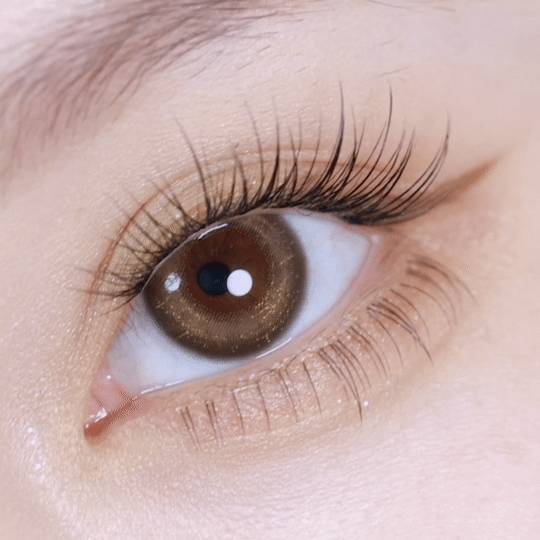 [日拋] moody Lenses moody collection 1 Day Startrails Party (Startrails Brown). 日抛隱形眼鏡｜每盒10片