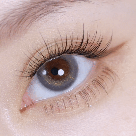 [日拋] moody Lenses moody collection 1 Day Downtempo Comet (Comet Grey) 日抛隱形眼鏡｜每盒10片