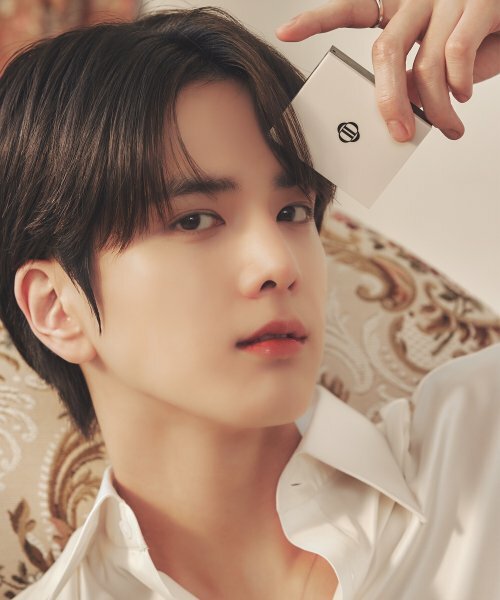 Dinto Blur-Fixing Wooncho Finish Powder Pact 10g