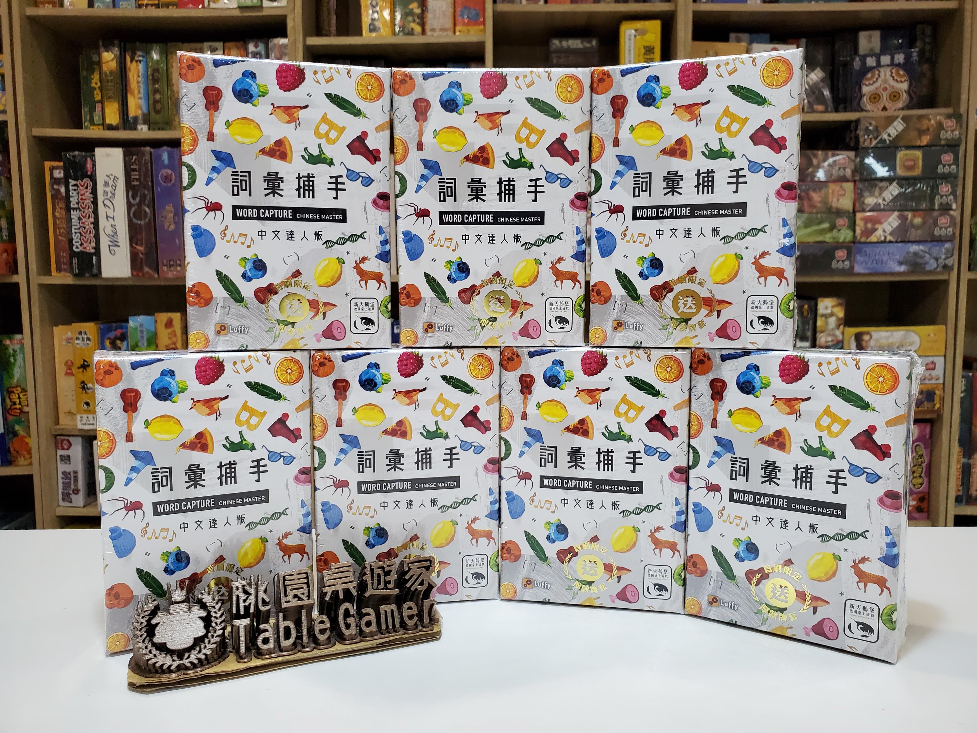 詞彙捕手中文達人版 WORD CAPTURE Chinese Master