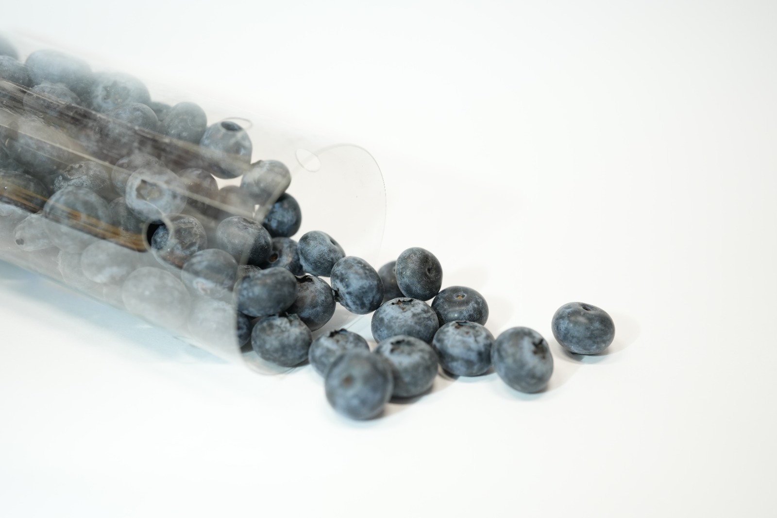 津巴布韋 藍莓 (一盒)