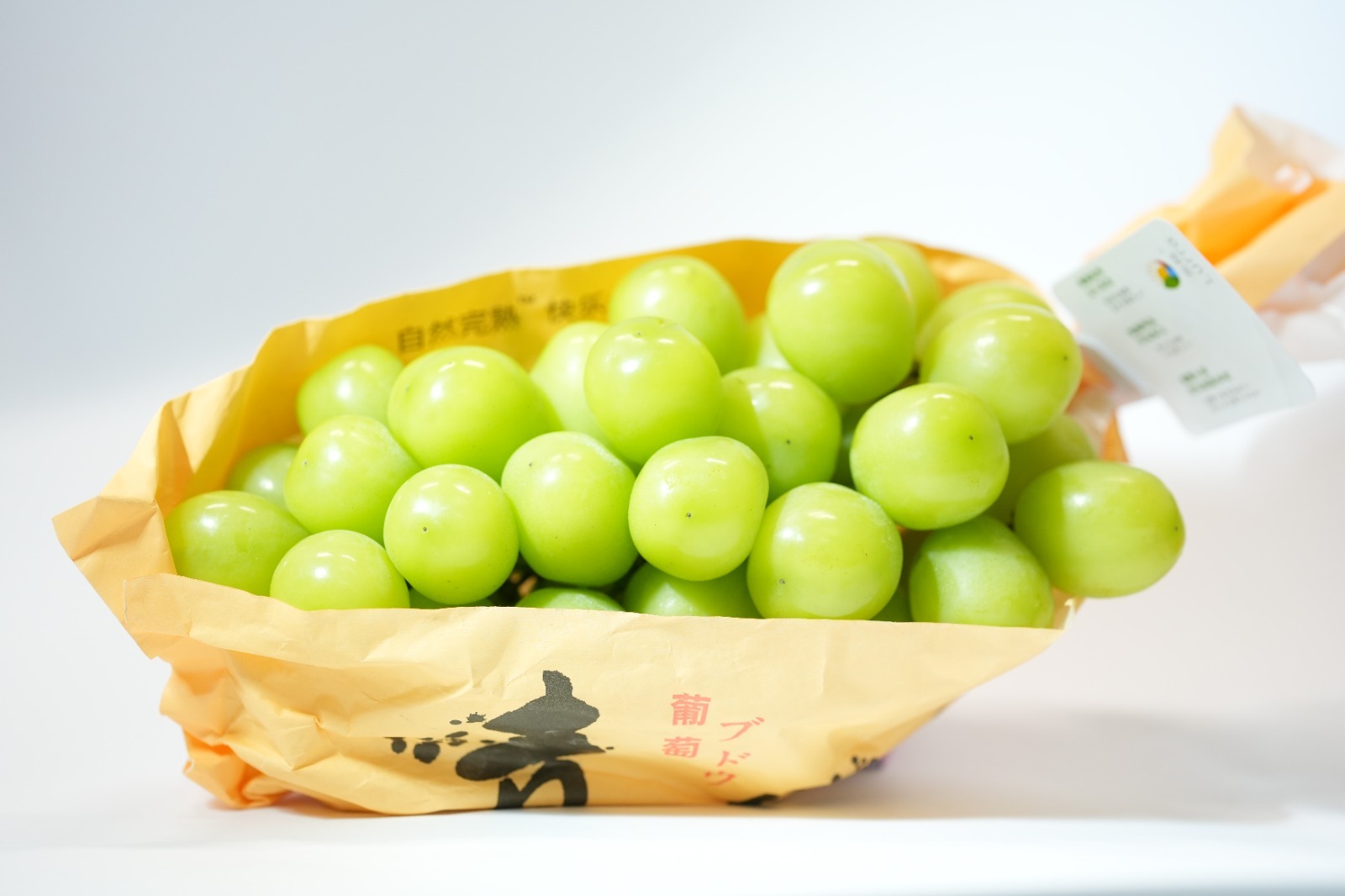 長野縣香印青提子 (一札)