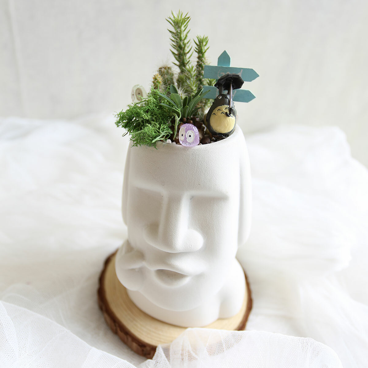 PD145｜比心摩艾仙人掌