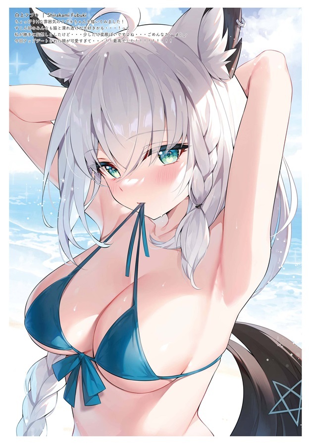 C102「同人代購」ハチゴ - 終わらない!ホロサマ2【特典付】