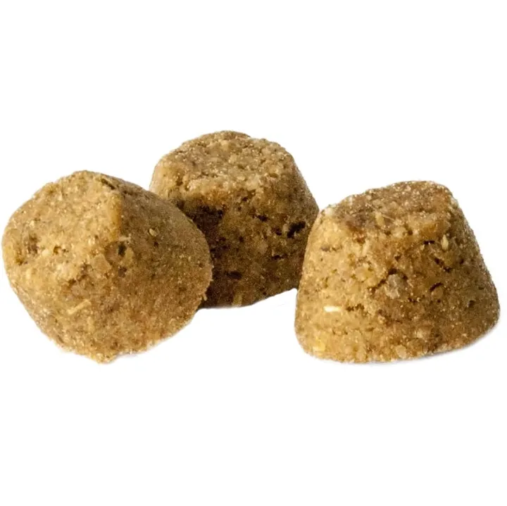 Oven-Baked Tradition Adult Cat-Grain Free DUCK．5lb/10lb