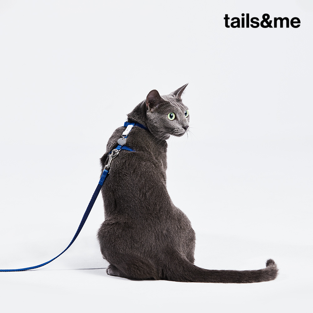 tails&me 尾巴與我 | APUJAN尾巴探險記-墨點貓牽繩