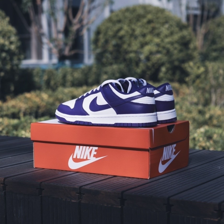 Nike Dunk Low Retro 惡人紫白 DD1391-104