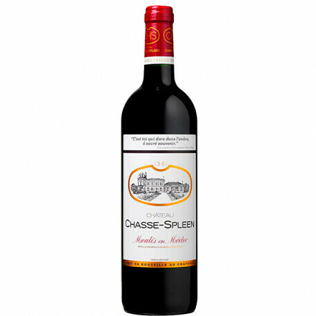 Chateau Chasse Spleen 2019 (RP92)