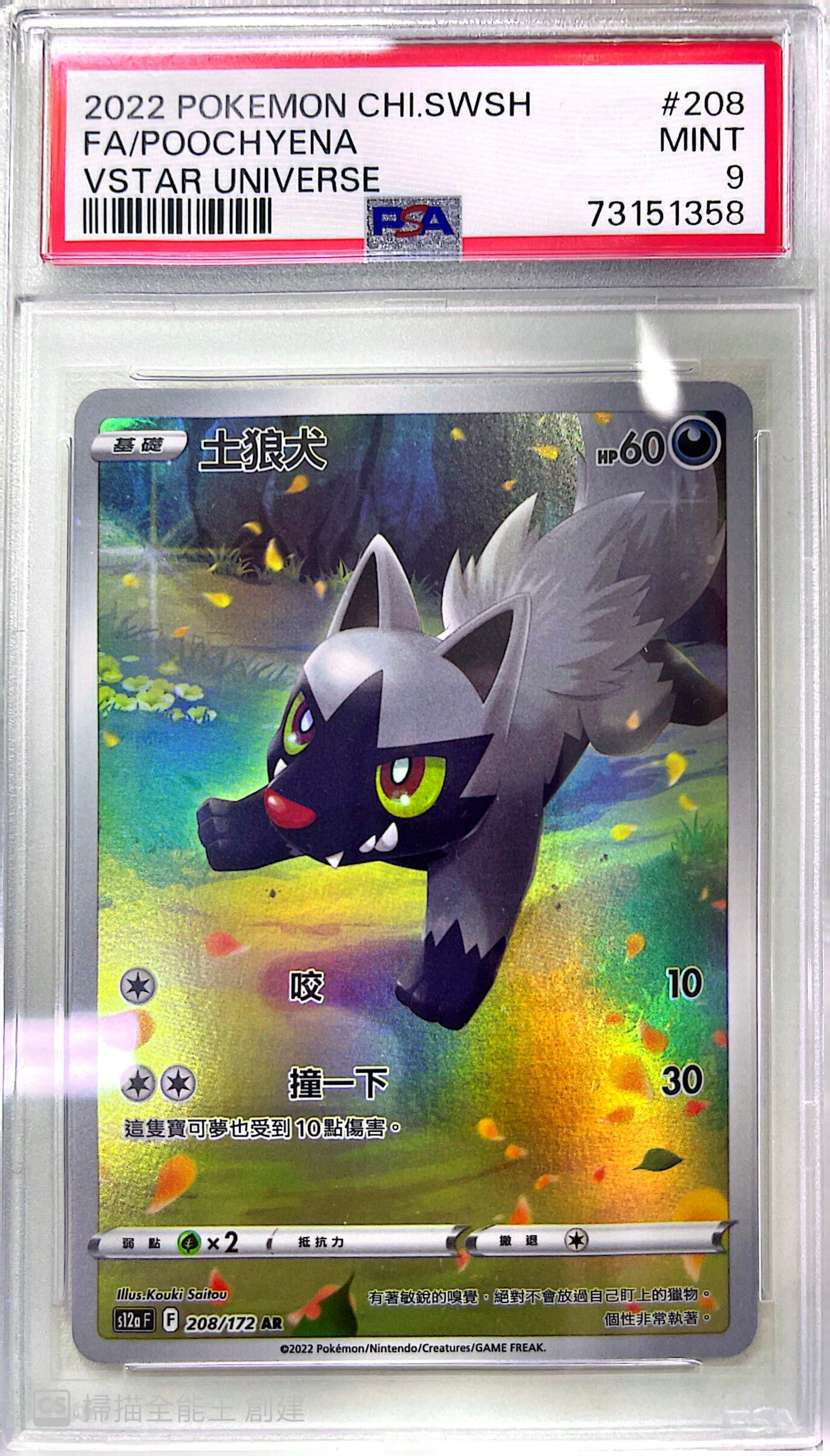 Poochyena Astral Radiance Pokémon - Foto 2