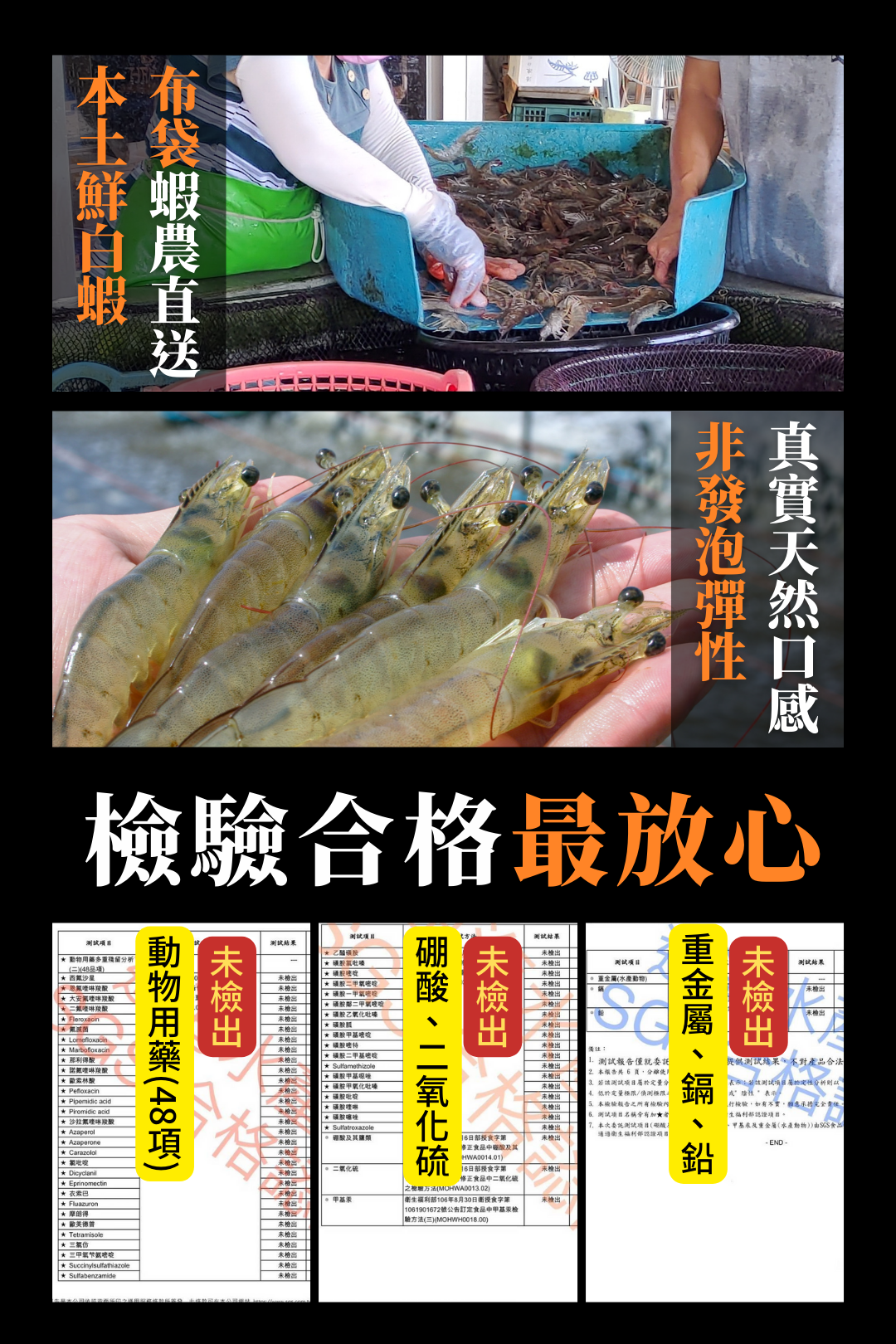 檢驗合格的本土無毒蝦，是男女老少都能安心吃的美味