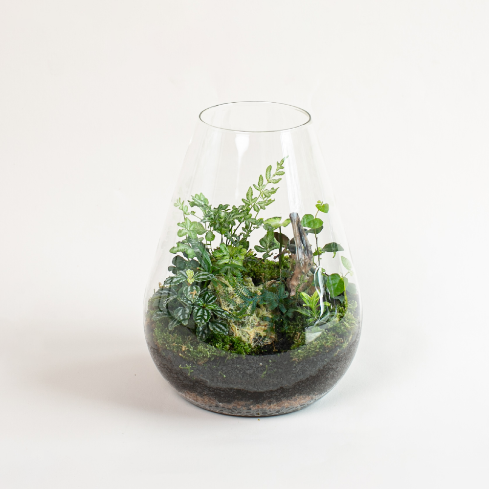 LED 弧型 │蕨醒生態瓶