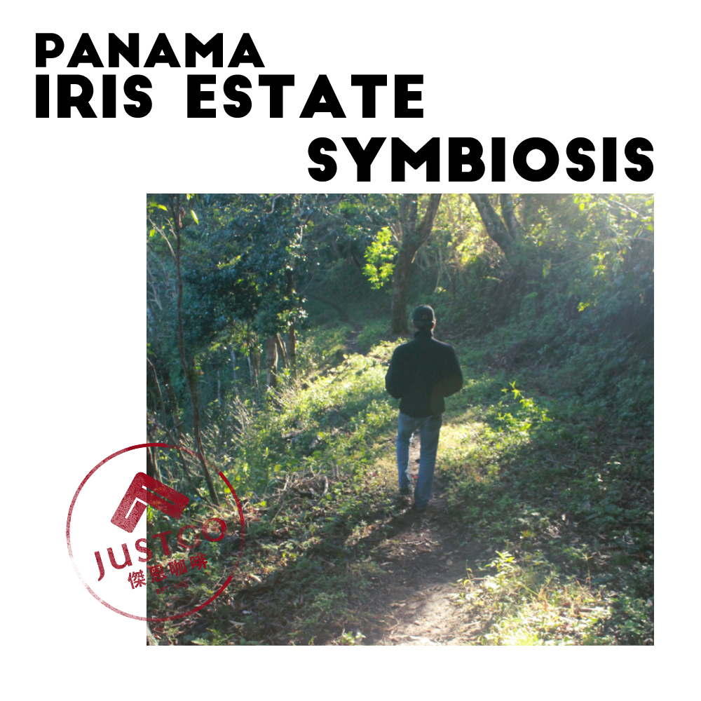 [生豆] 巴拿馬 Iris Estate Symbiosis（共生）GESHA 厭氧延長發酵日曬