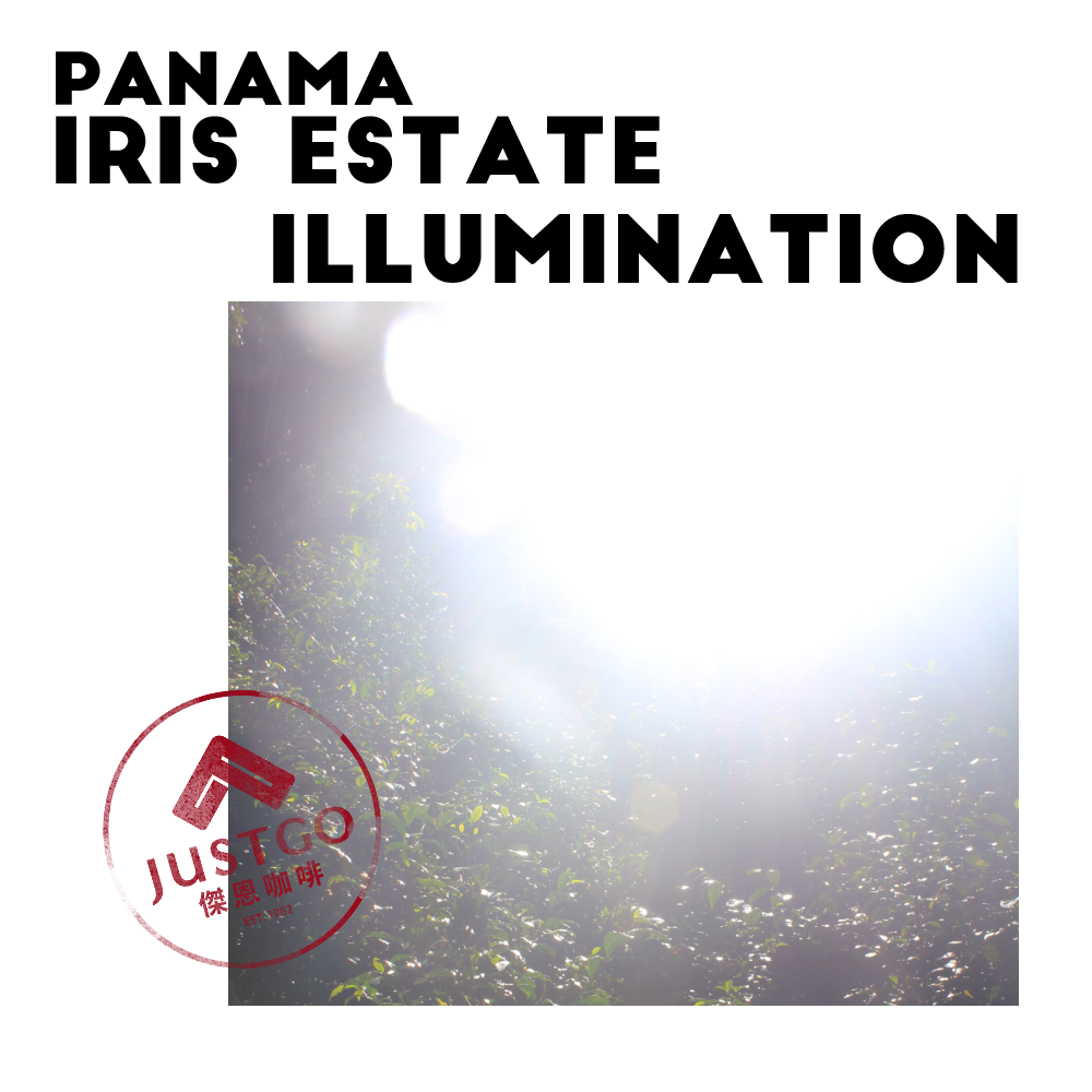 [生豆] 巴拿馬 Iris Estate Illumination（光明）GESHA 二氧化碳浸漬水洗