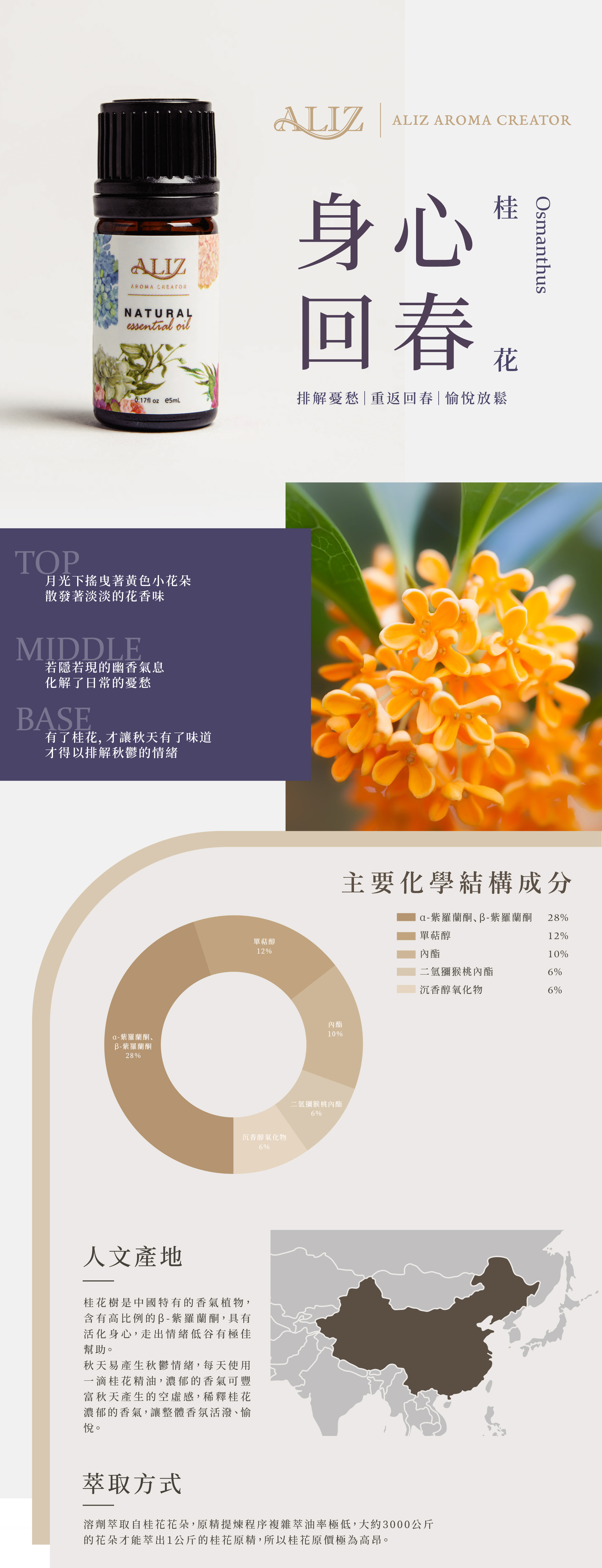 桂花精油產品資訊