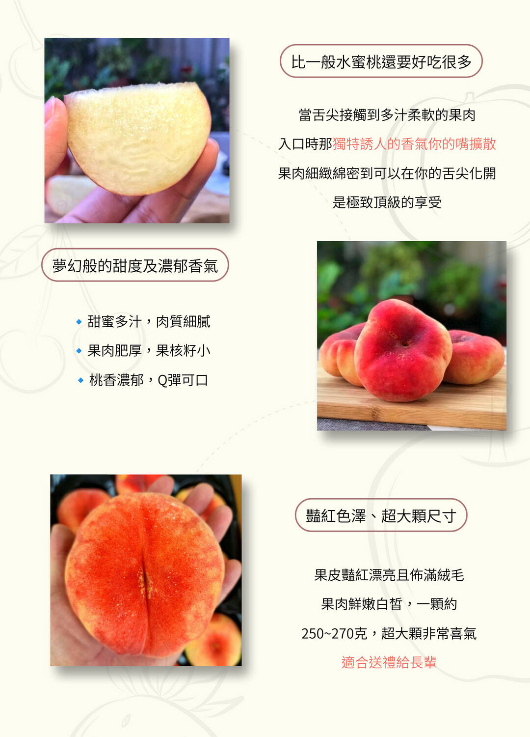 華盛頓桃仙子蟠桃扁桃