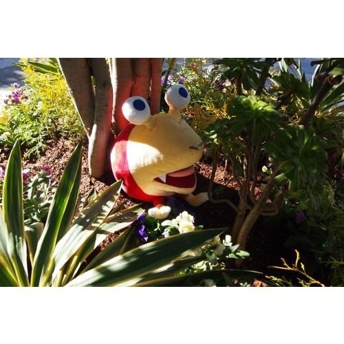 預訂 ピクミン ぬいぐるみ PK07 チャッピー 毛公仔